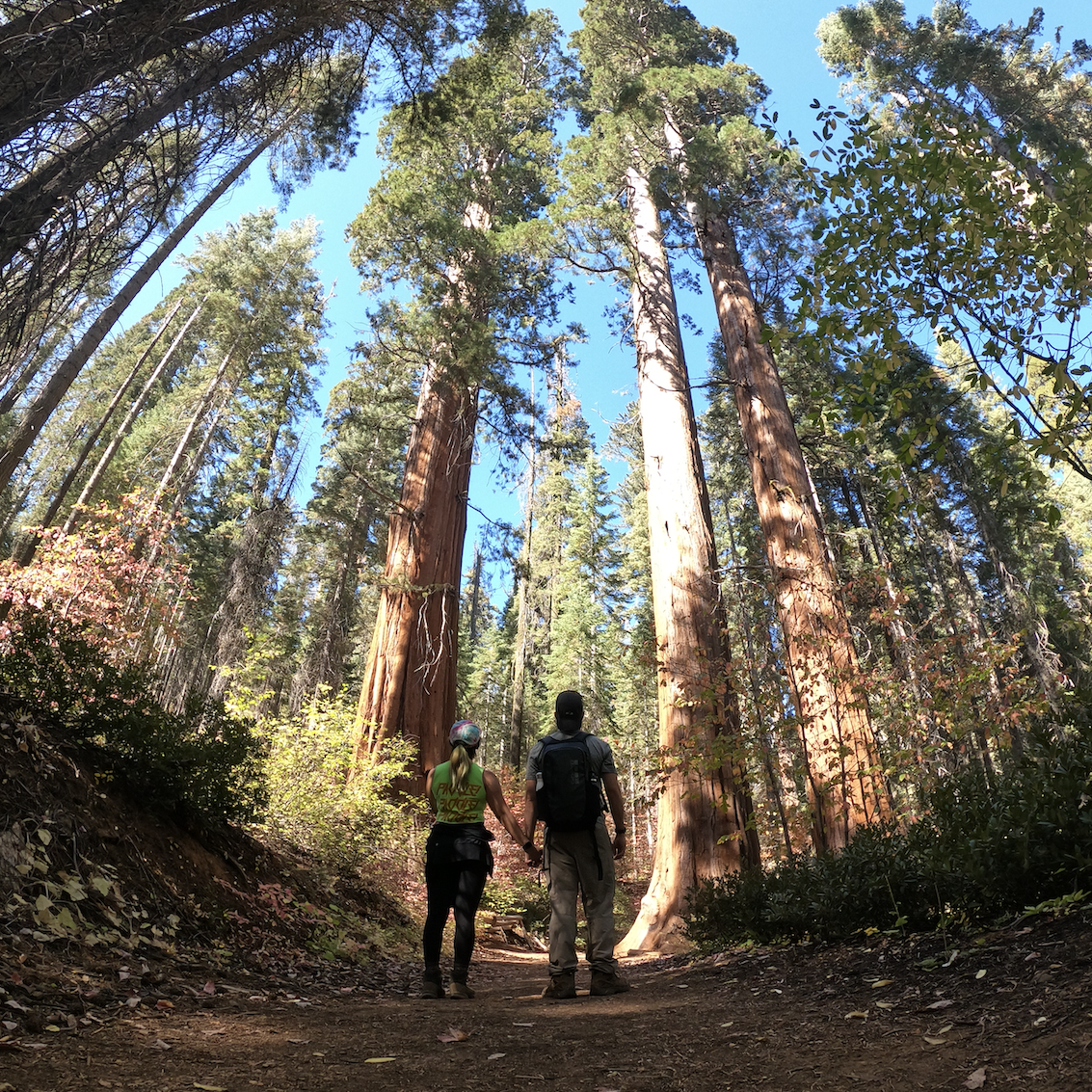 October 2020 - Yosemite National Park, CA