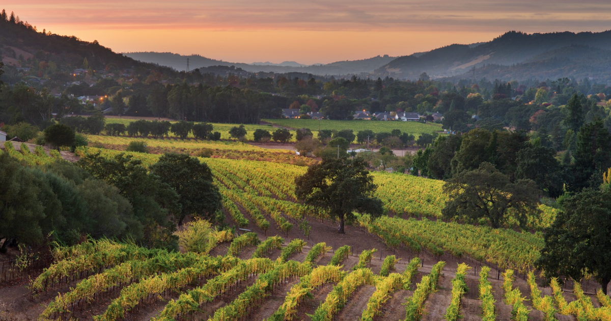 The Wedding Website of Christy Simpson and Şamil Olgun