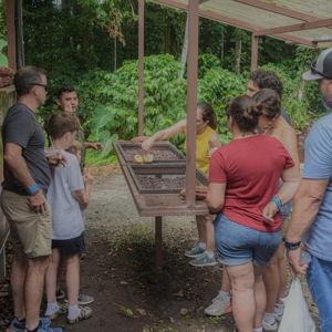 Chocolate and Coffee Experience For Two in Costa Rica