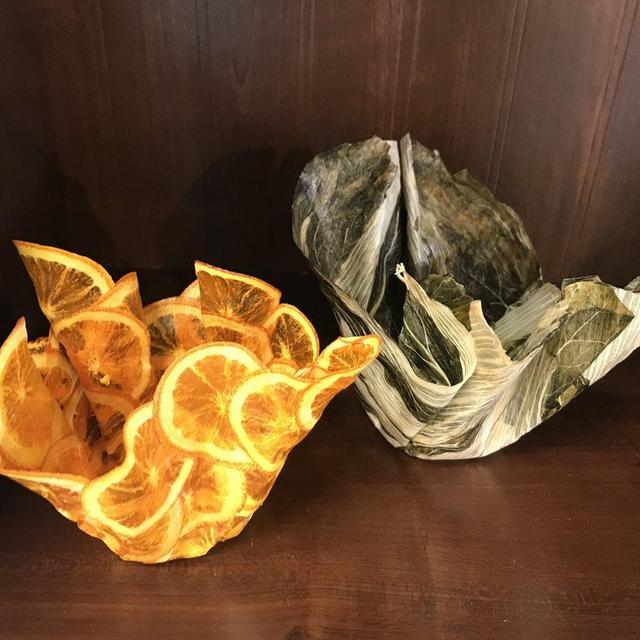 Cabbage - Vegetable Parchment Bowls by Margaret Dorfman