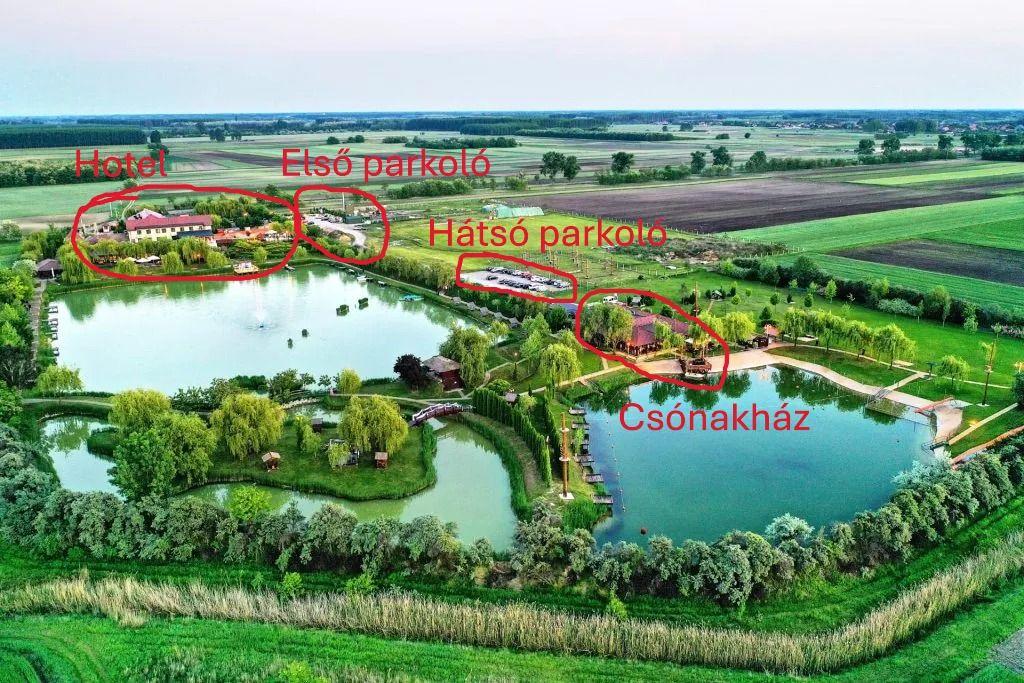 The Wedding Website of Detti Győri and Marci Kóti