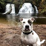 Cherry Creek Falls Hike