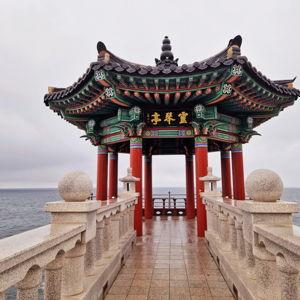 [Korea Trip] Sangita takes Neerav on a day trip!