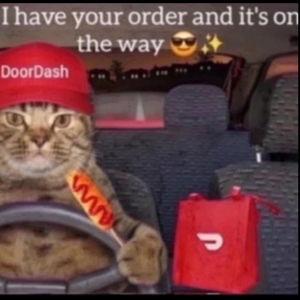 Doordash Fund