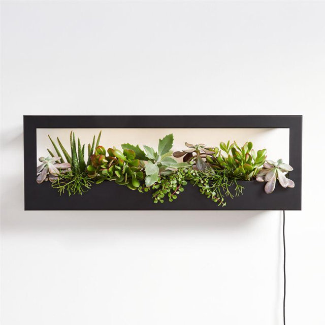 Modern Sprout Landscape Grow Frame