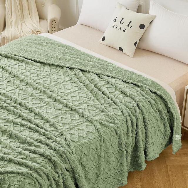 Aganear Fleece Blanket Queen Size - Plush Fuzzy Cozy Soft Lightweight Blanket for Couch, Sofa, Bed, Office, Cozy Gifts for Birthday, Christmas, Valentine's Day, Mother's Day(90"x90", Sage Green)