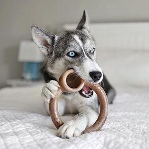 LUMABONE Ring-Stuffer Beef Flavor Dog Toy, Large - Chewy.com