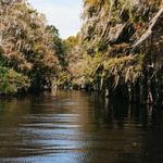 Everglades/Alligator Airboat Tour