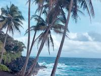 Big Island