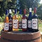 Cape Cod Winery