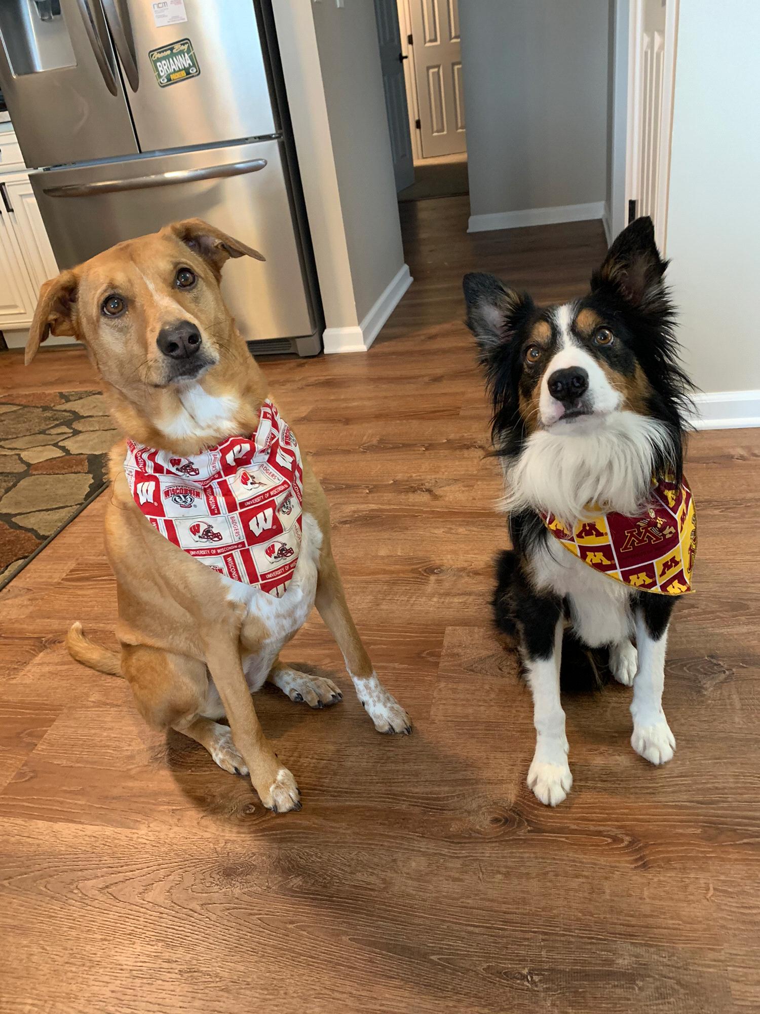 January 2020 - Our babies Aja and Oliver