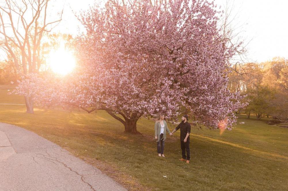 0cc31ae2-2d9e-4545-922b-cb1466beb595