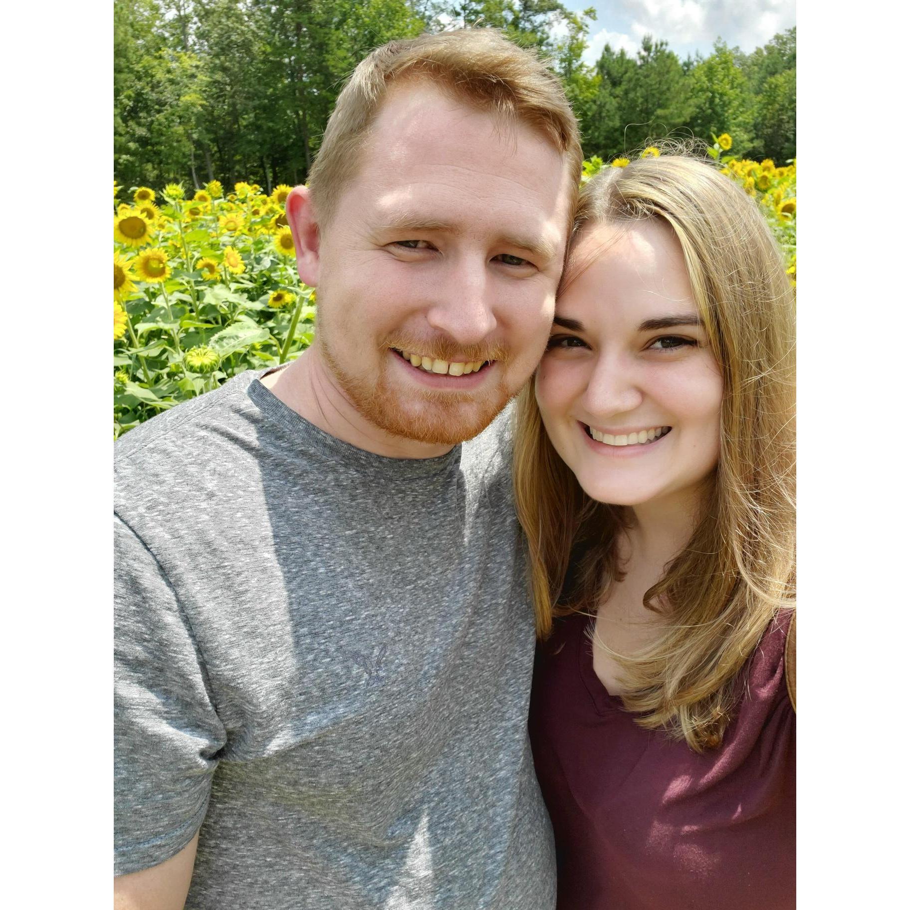 Visiting a local sunflower field.