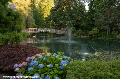 The Wedding Website of Casey Durfey and Allen Sklar
