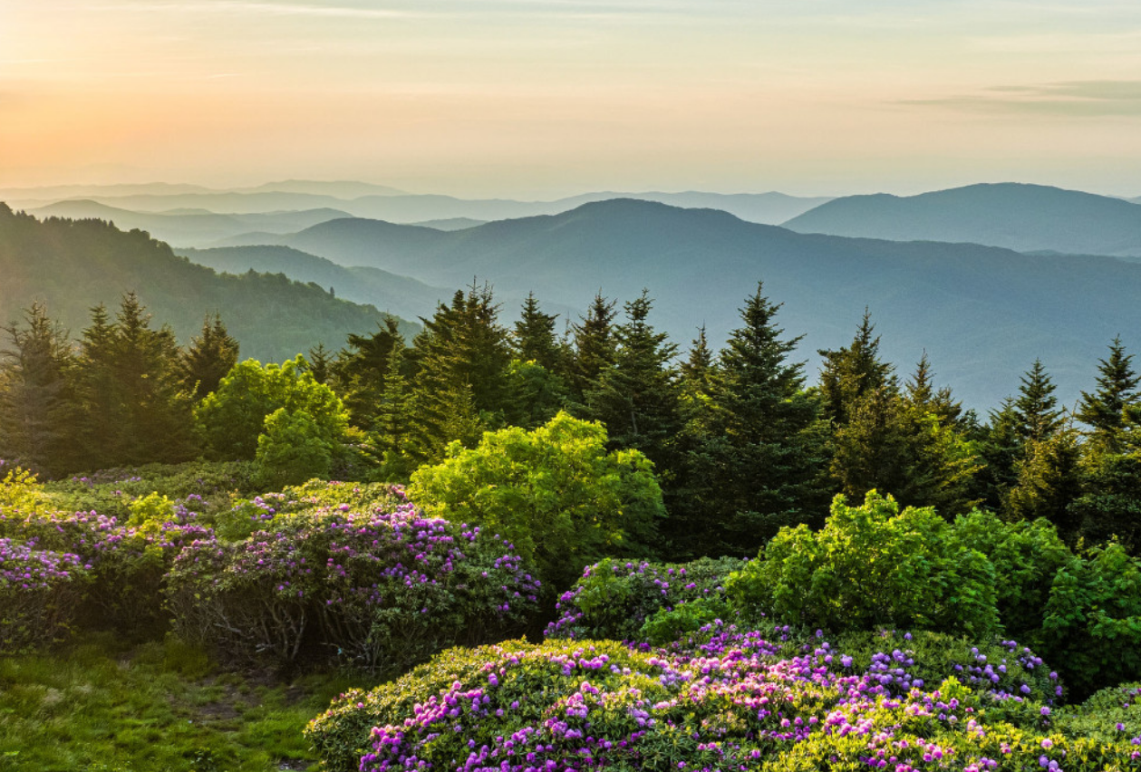 The Wedding Website of Margaret Caruso and Nathan Phipps