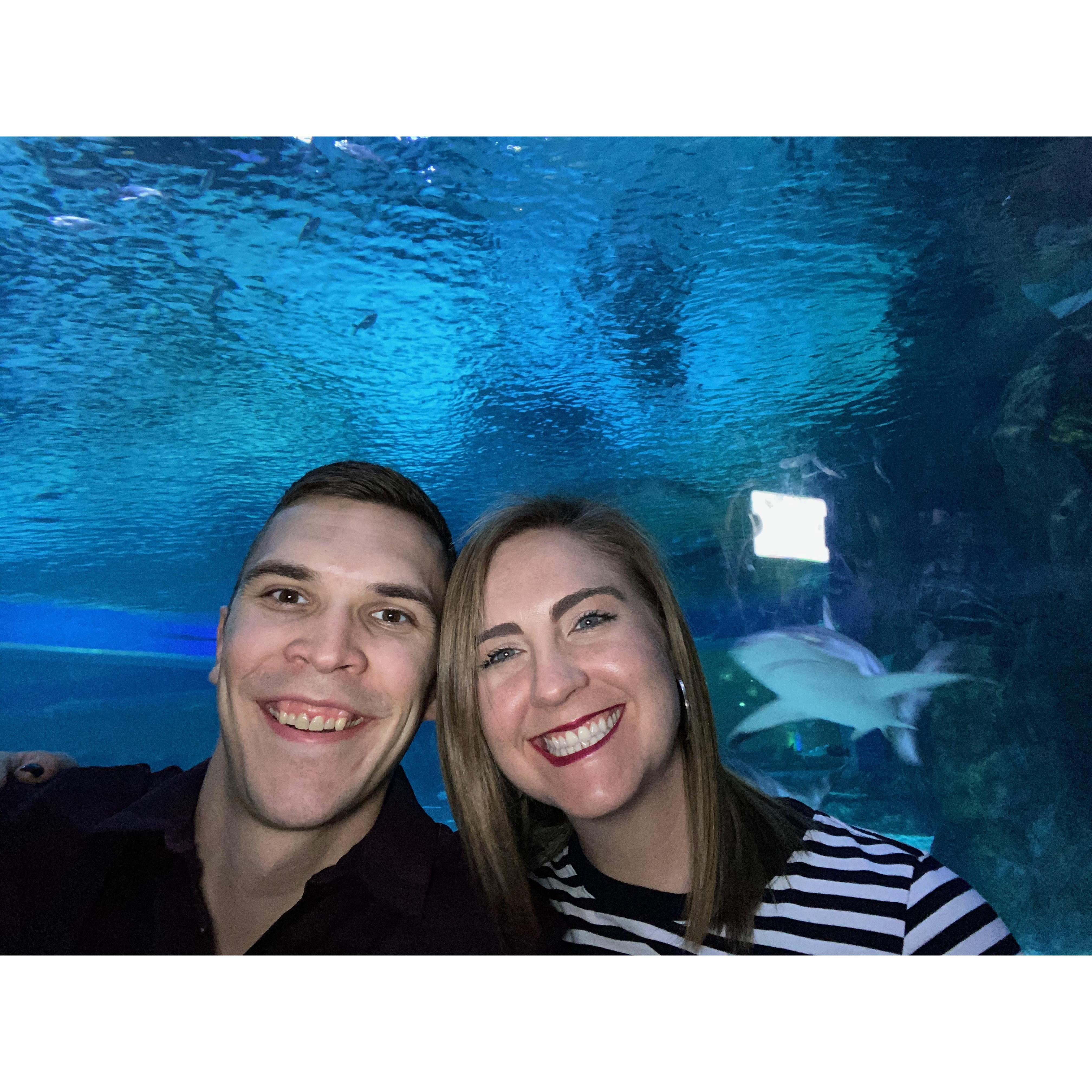 January 11, 2020: Madison loves everything that has anything to do with water and Joel loves animals so visiting the Loveland Living Planet Aquarium was the perfect choice for a day date!