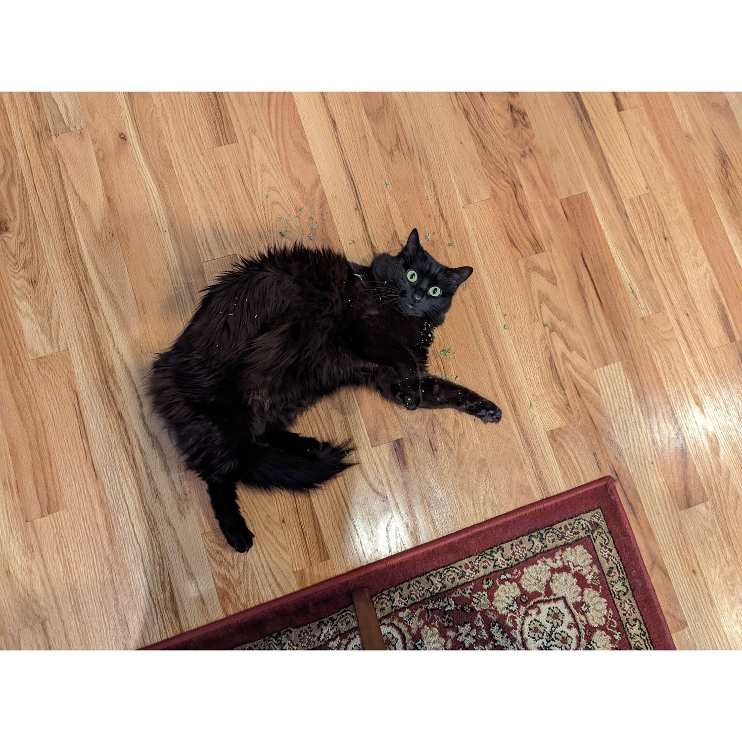 tfw the nip hits