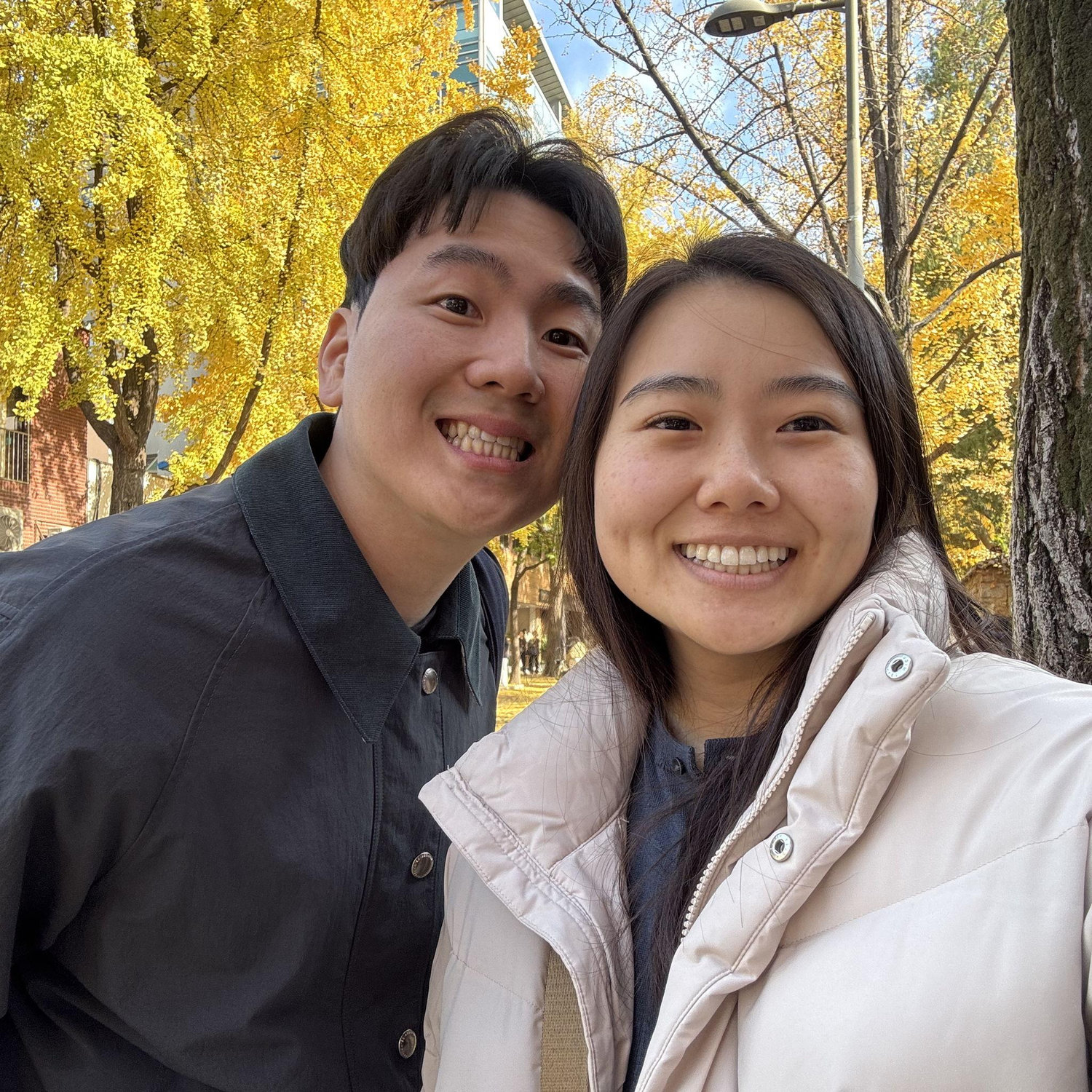 November 13, 2025 - Under the yellow tree