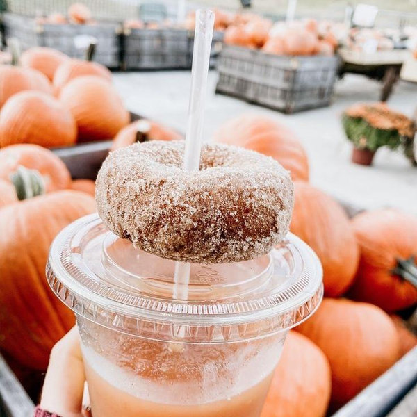 Pumpkin Patch Fund