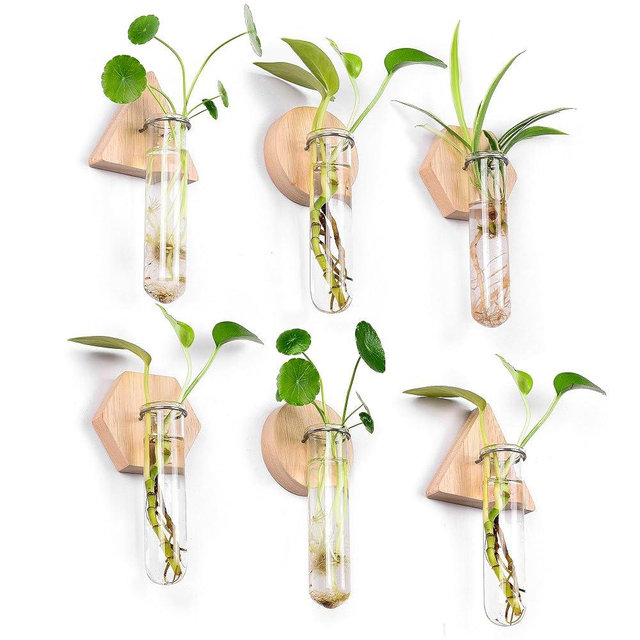 MITIME Wall Hanging Planter Glass Plant Propagation Station,Geometric Wooden Stand for Home Office Decoration.