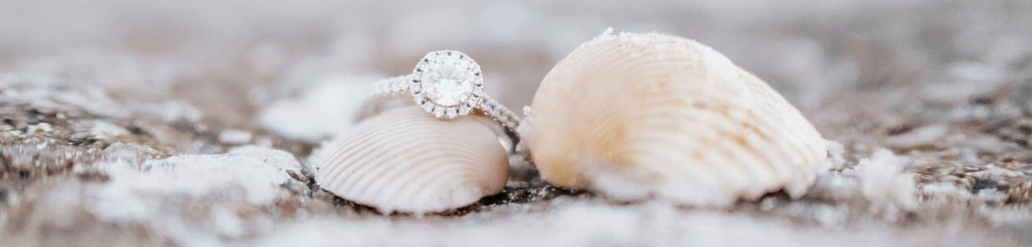 The Wedding Website of Haley Thigpen and Owen Ruess