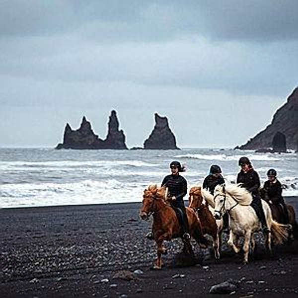 Iceland Honeymoon, Black beach horse riding tour