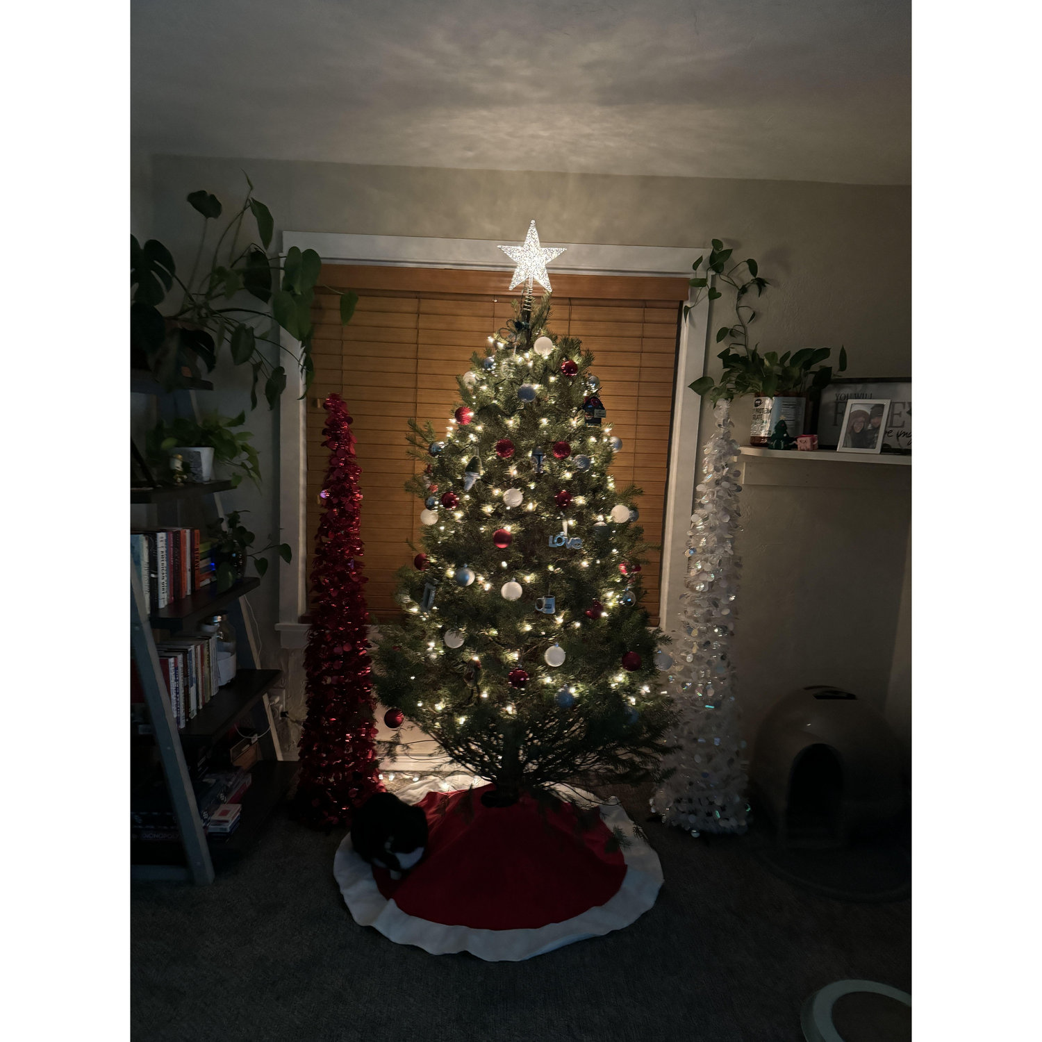 Our first Christmas in our Home <3