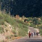 Sabino Canyon Recreation Area