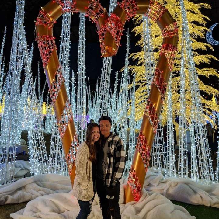 Enchant Christmas Lights in 2017