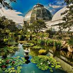 Anna Scripps Whitcomb Conservatory