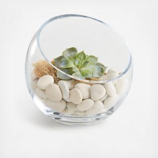 White Beach Stones