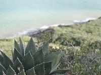 Cabrillo National Monument