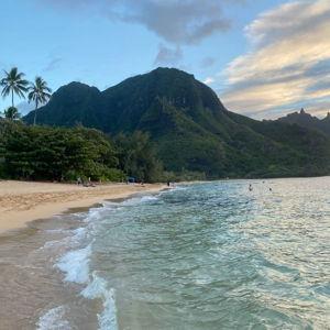 Hawaiian Honeymoon!