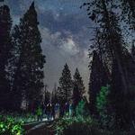Guided Flashlight Hike at Tenaya Lodge