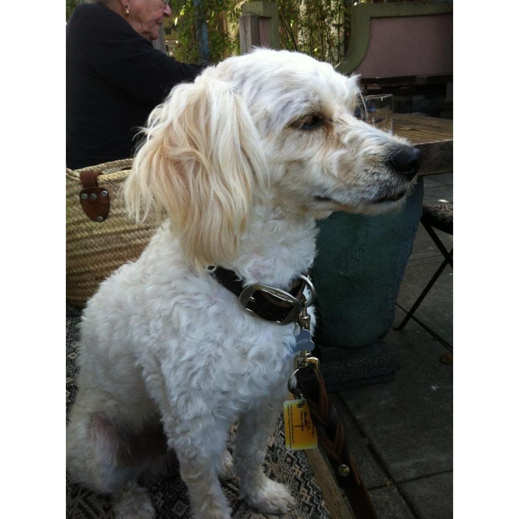 our loving Malibu