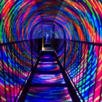 Camera Obscura & World of Illusions