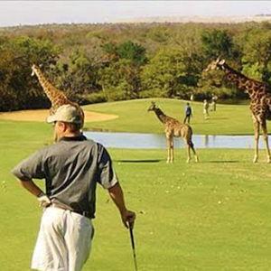 A Golf Day on Our African Honeymoon