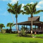 Lowdermilk Park Beach