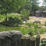 The Maryland Zoo in Baltimore