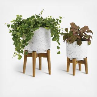 Terrazza Planter