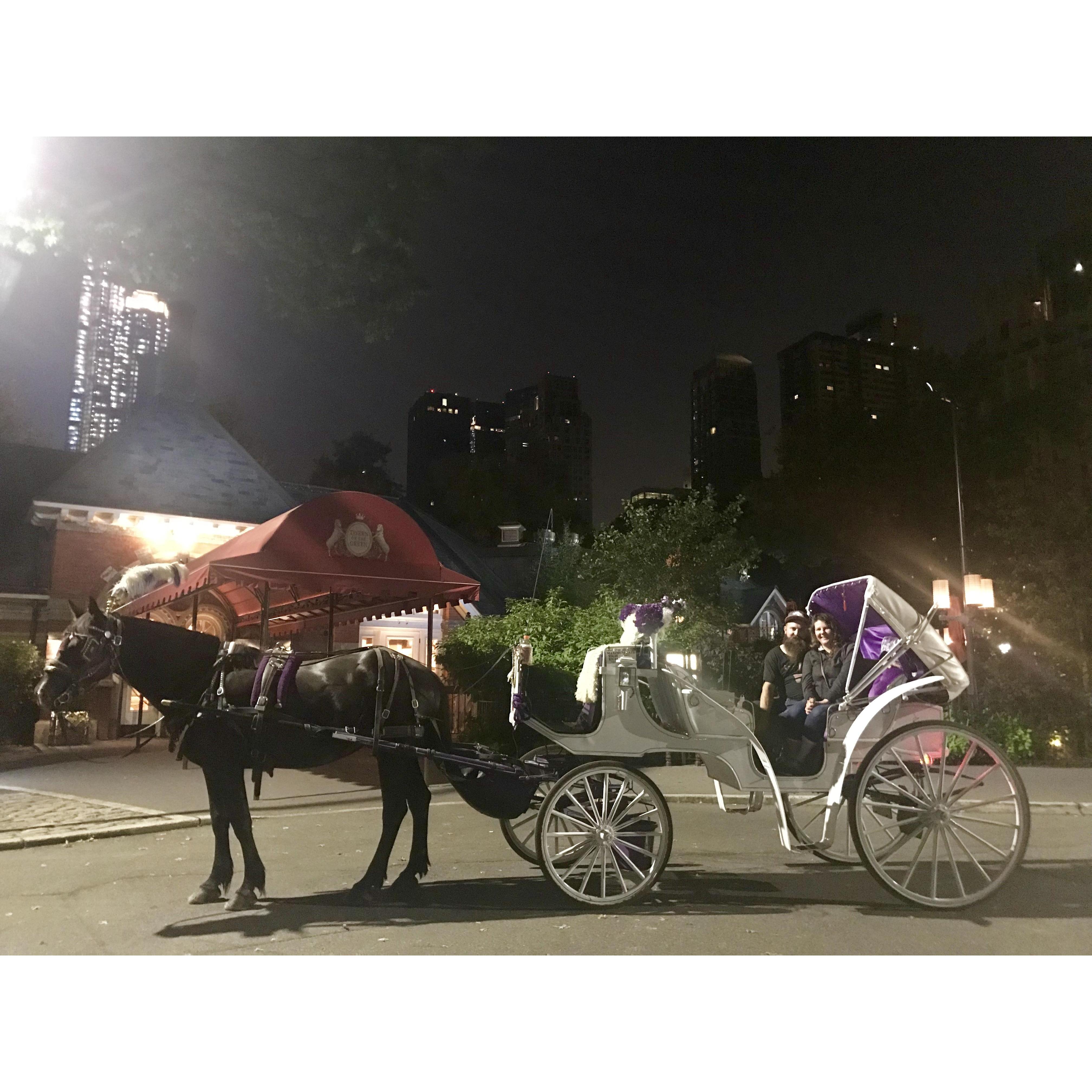 Horse drawn carriage ride in Manhattan Summer 2018!