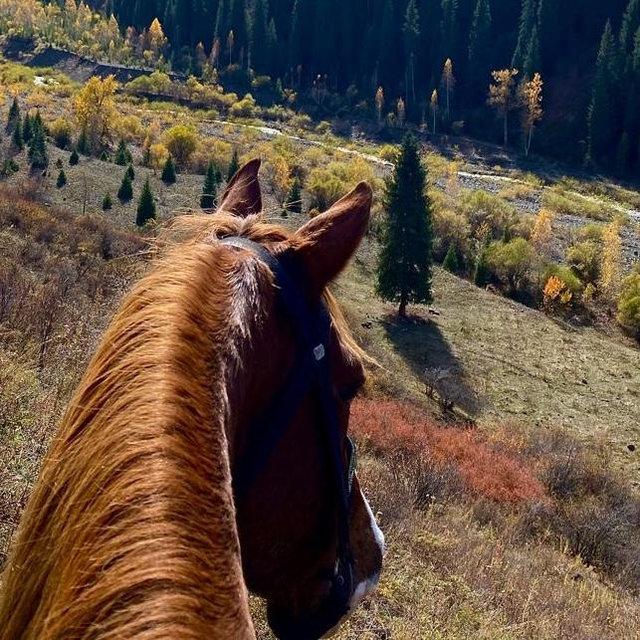 Horseback Riding On Our Honeymoon