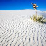 White Sands National Park