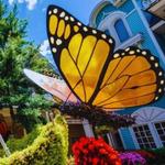 Sevierville Vacation Guide