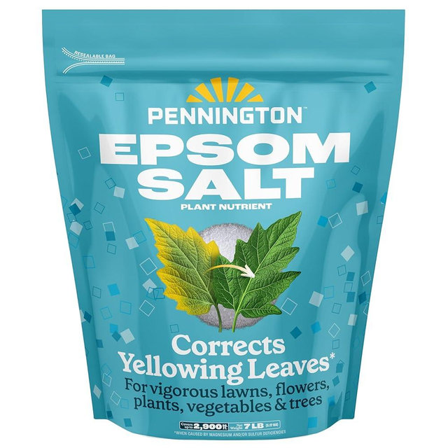 Pennington 397606 Epsom Salt Plant Nutrient, 7 lb