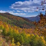 Great Smoky Mountains National Park