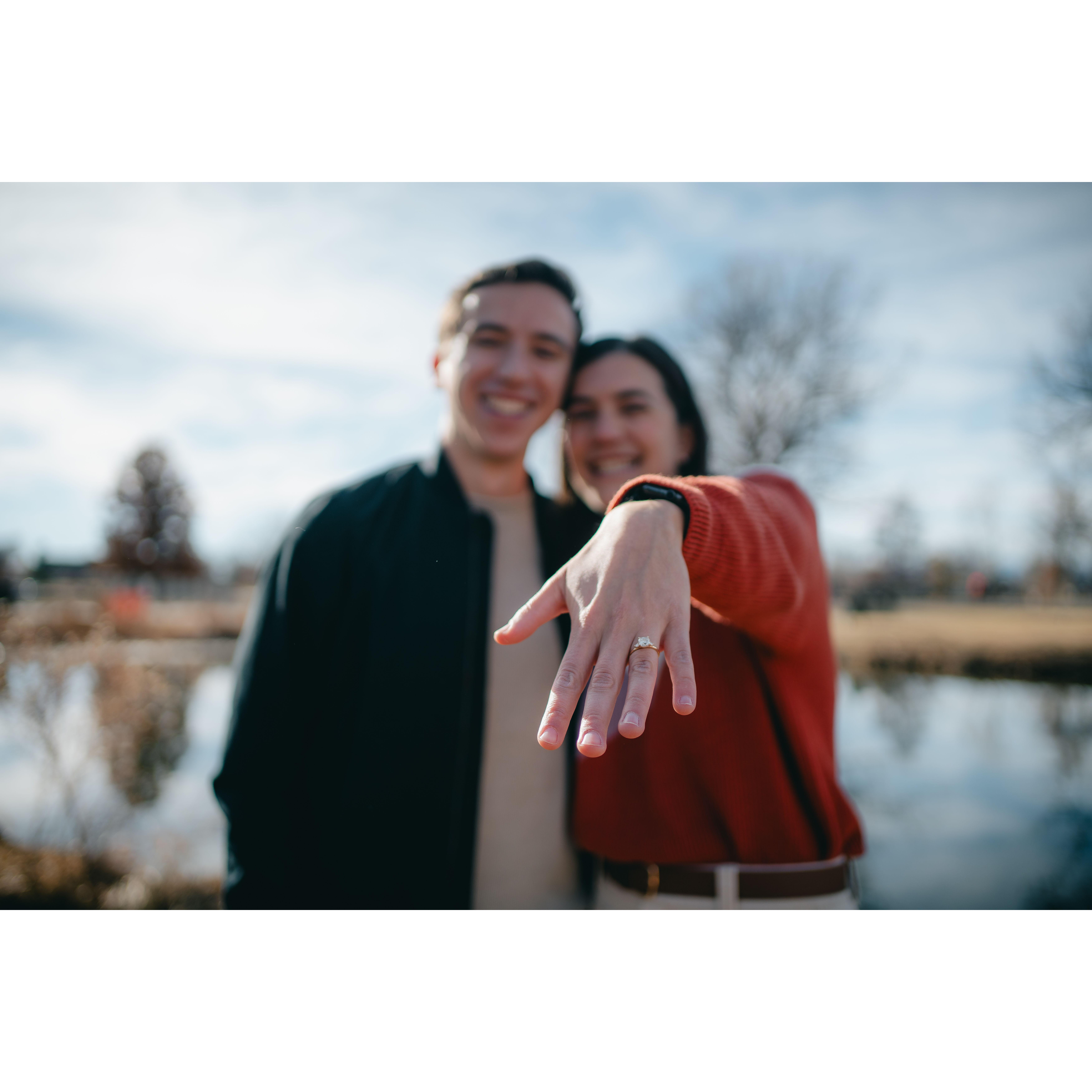 Engagement December 2024