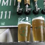The Lone Pint Brewery