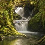 Olympic Peninsula