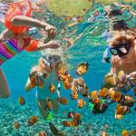 Rincon Diving & Snorkeling